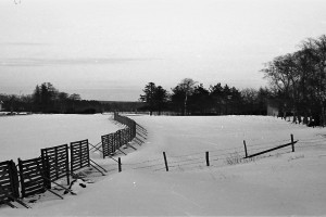 Bilde av Tyske forsvarsverker på Hunstok